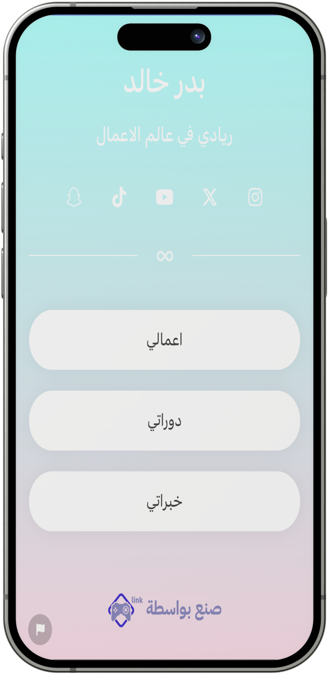 لقطة شاشة لأمثلة صفحة الروابط الحيوية